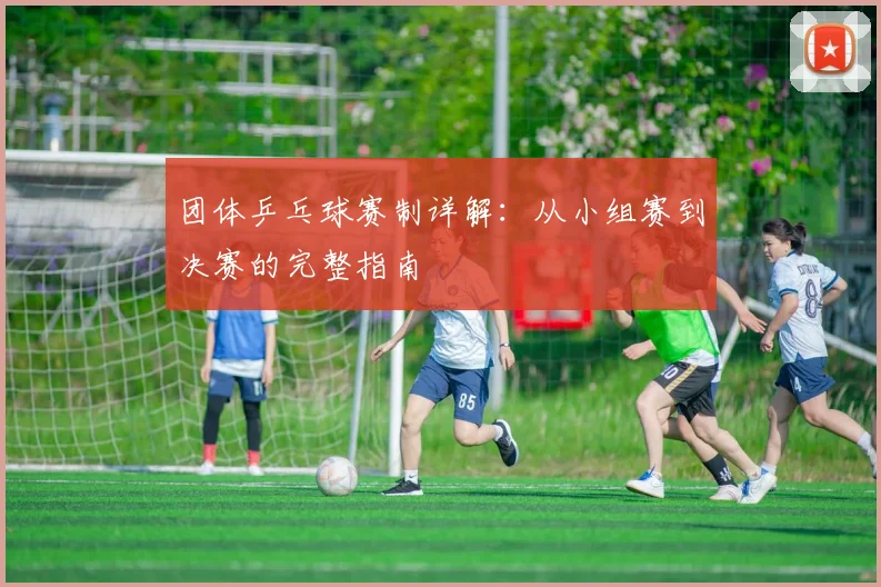 团体乒乓球赛制详解:从小组赛到决赛的完整指南